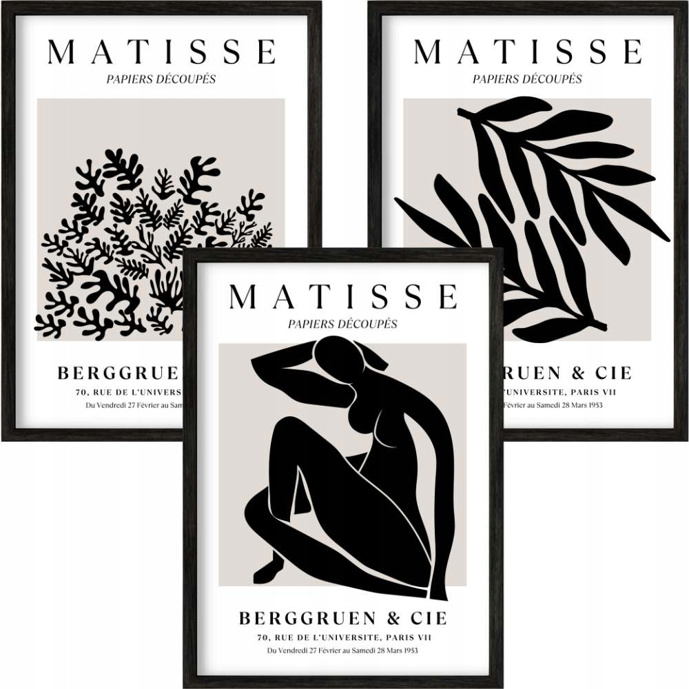 3 x Plakát Foto Obraz 40x60 Abstrakce Henri Matisse Šedá 60x40