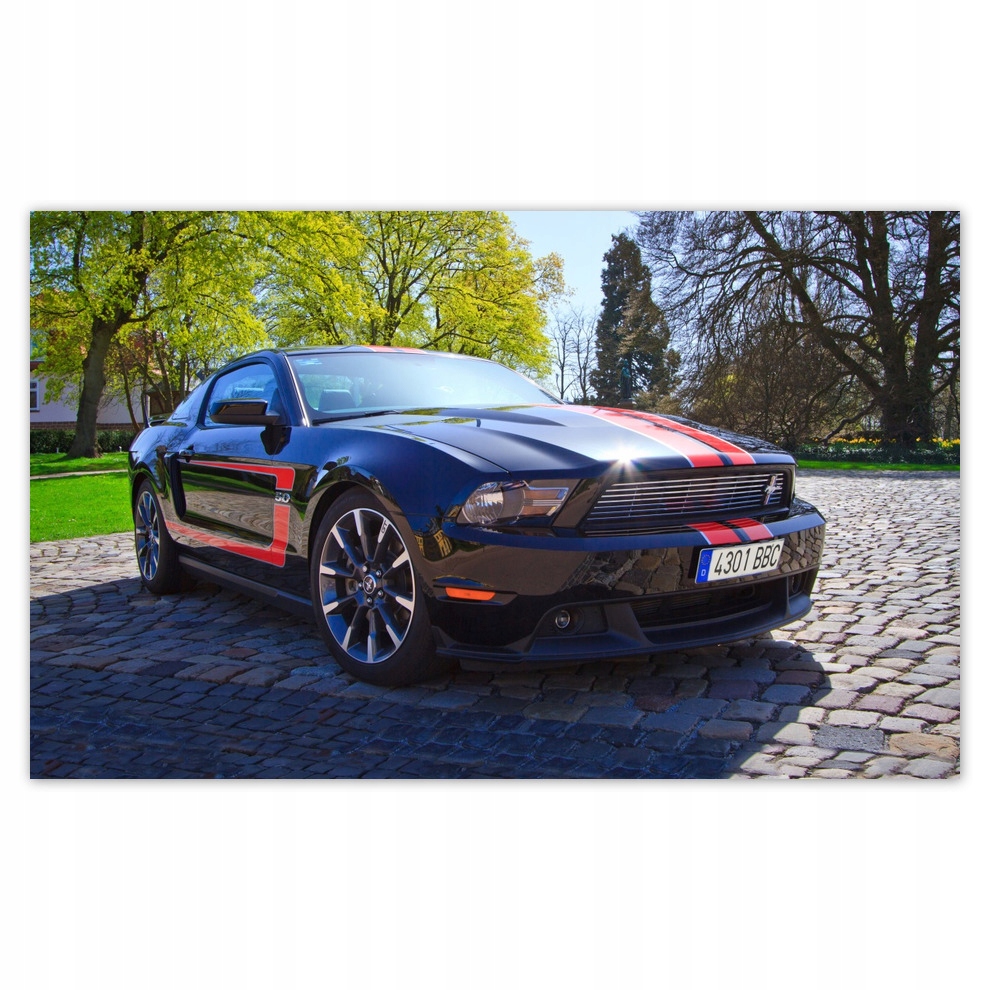 

Fototapety flizelina 416x254 Ford Mustang Samochód