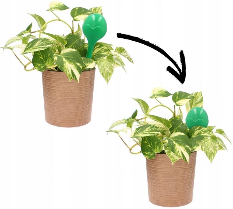 10 x NAWADNIACZ KULE NAWADNIAJĄCE DO KWIATÓW DOZOWNIK DUŻE 30cm 400ml 10szt Kod producenta KULE NAWADNIAJĄCE DO NAWADNIANIA KWIATÓW