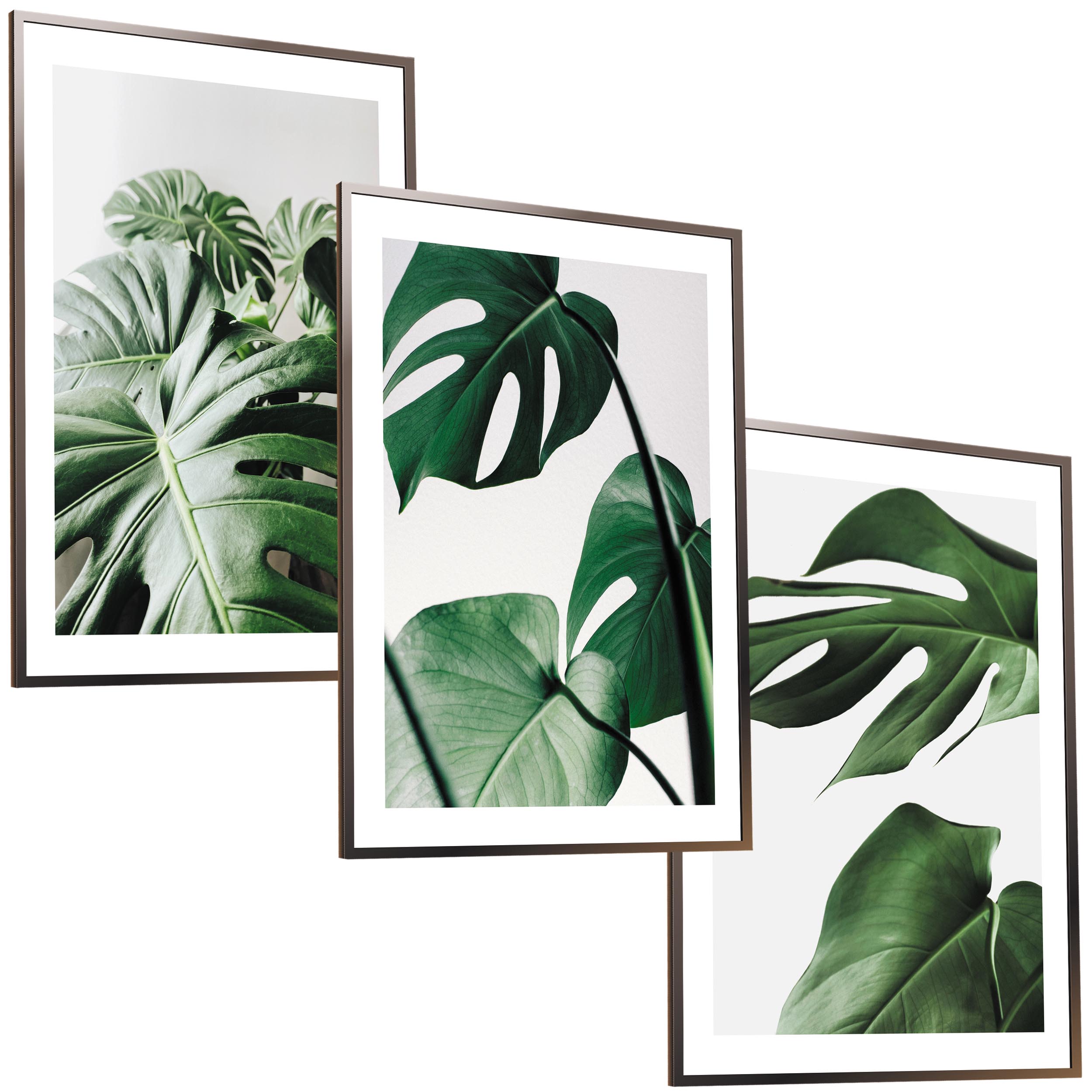 30x40 ZESTAW OBRAZY W RAMIE PLAKATY RAMKA MONSTERA ROŚLINA BOHO NATURA