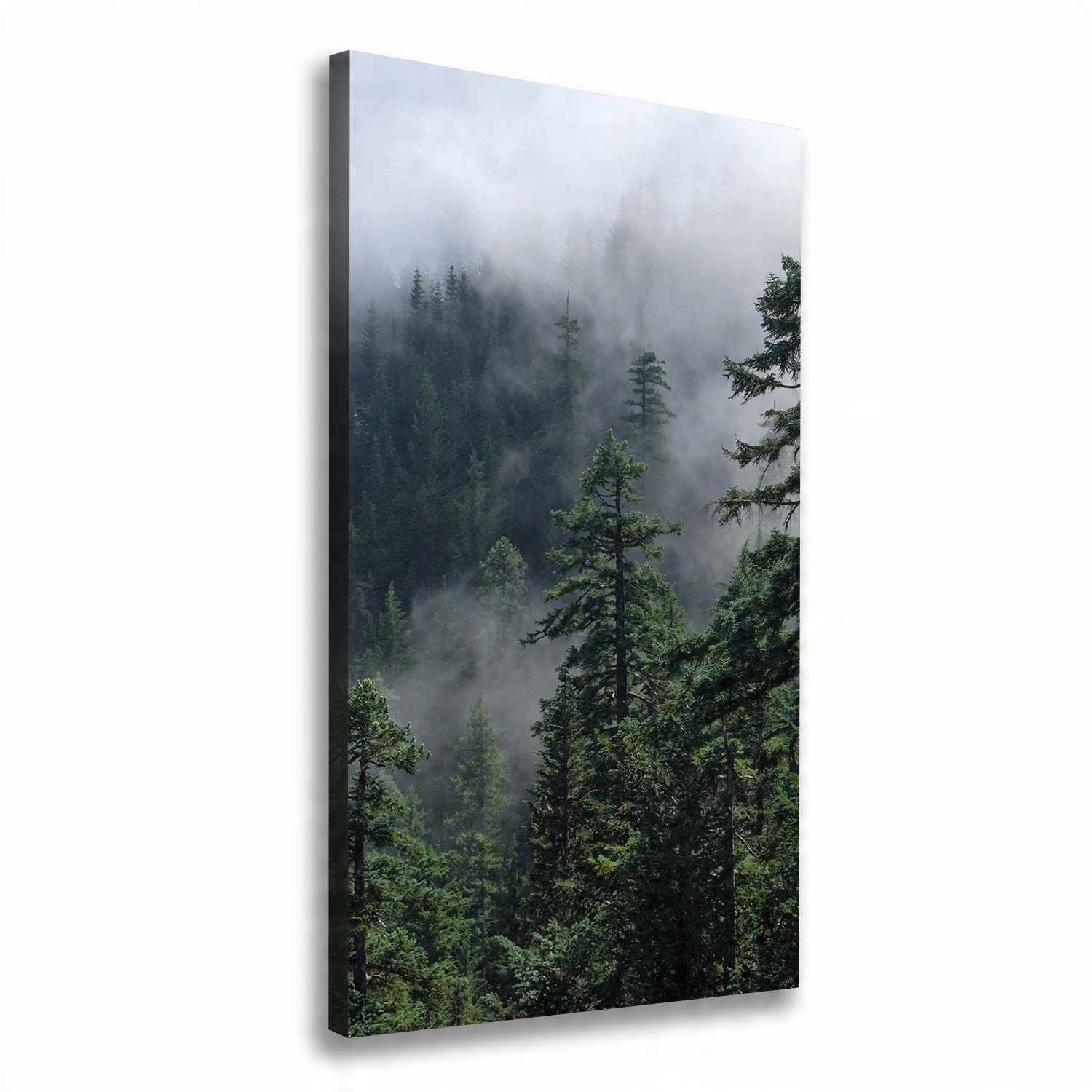 

Foto obraz na płótnie Mgła nad lasem 70x140 cm