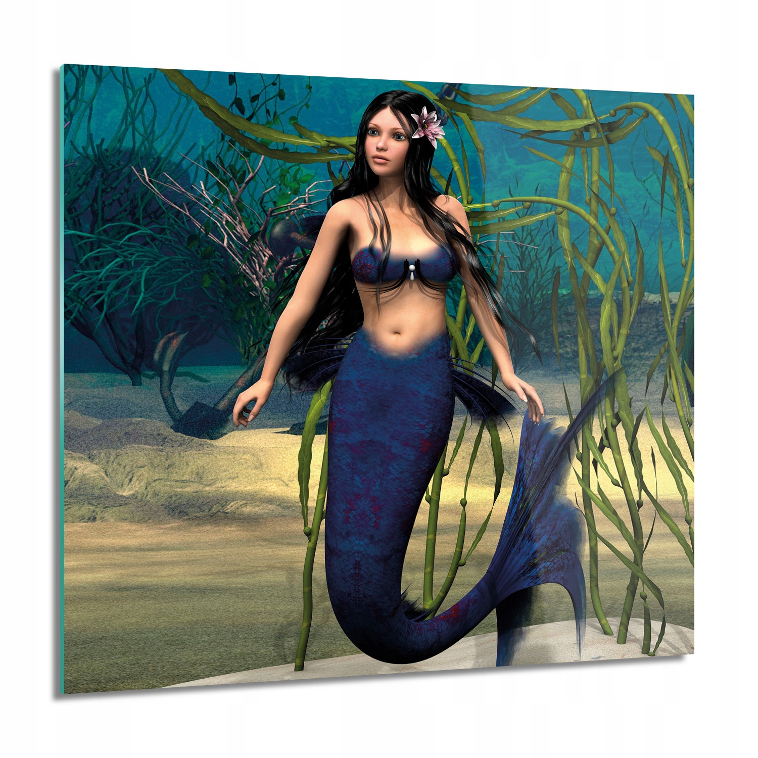 

Syrena muszle woda Foto na szkle na ścianę 60x60