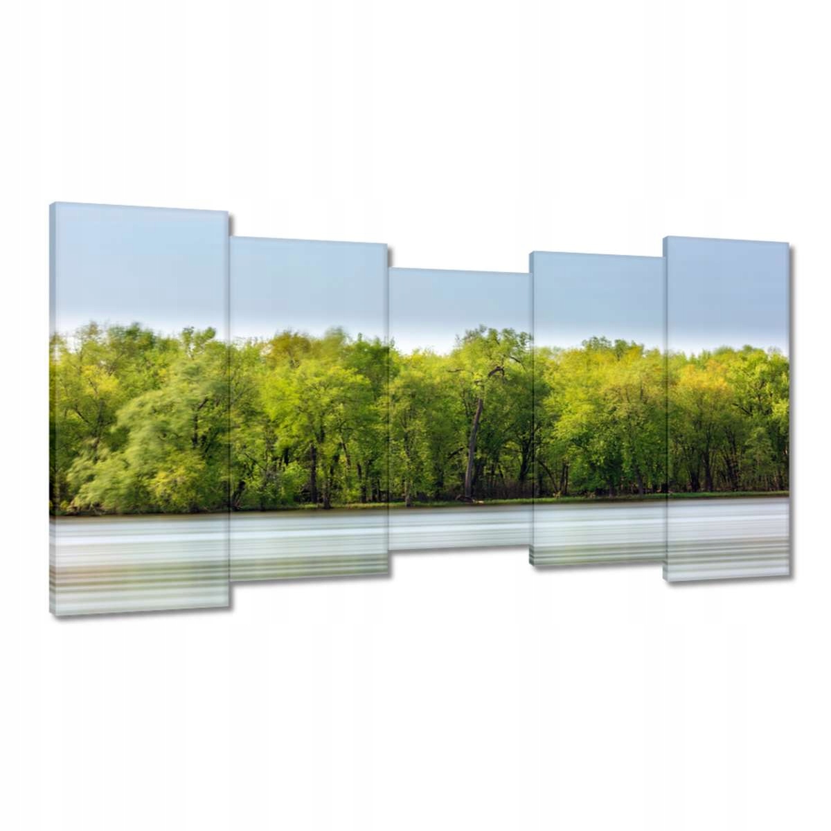 Obrazy 150x80 Les Jezero Nebe