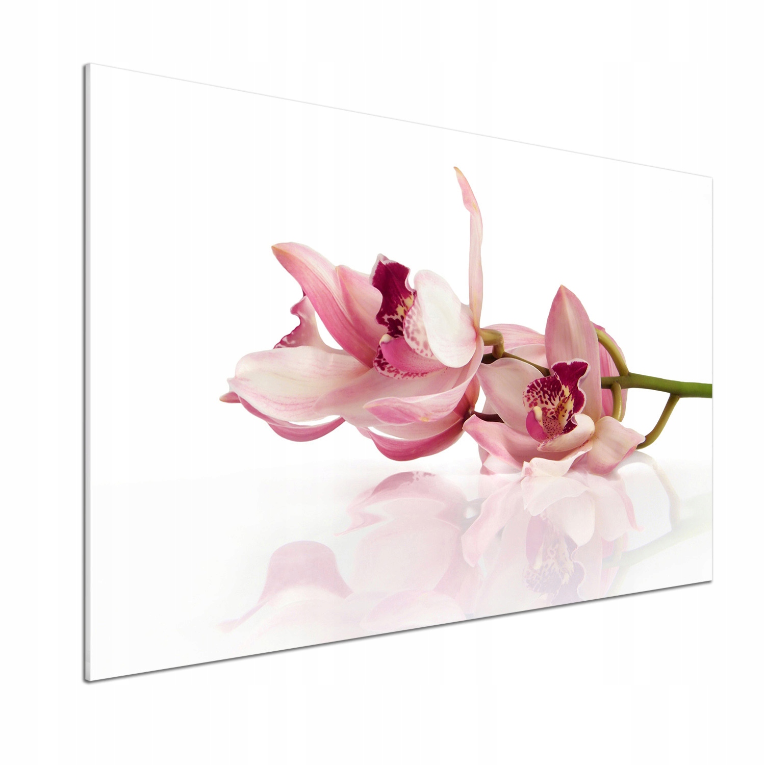 Panel medzi nábytkom v kuchyni Orchidea 100x70 Lepidlo