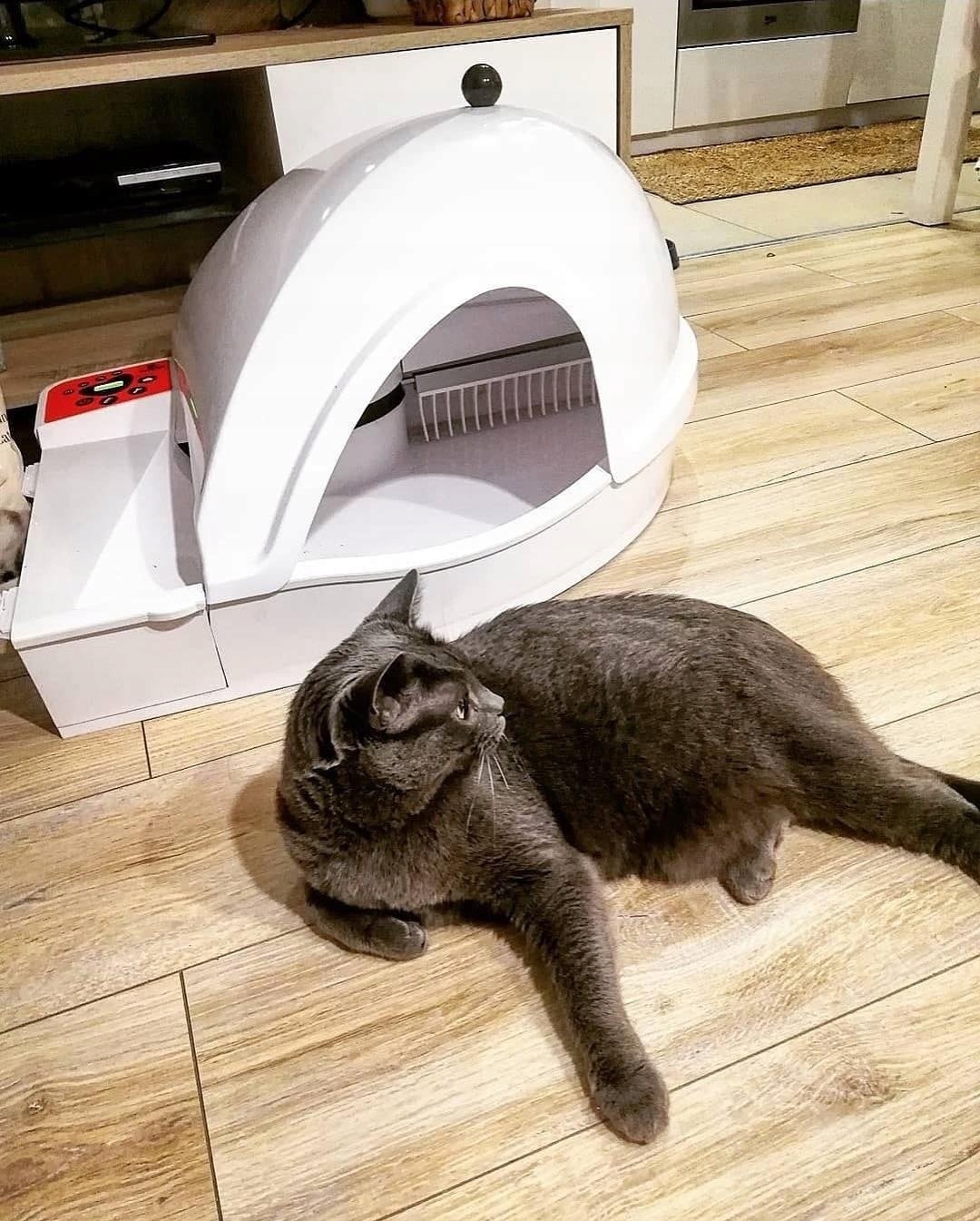 Inteligentna Automatyczna Samoczyszcząca Kuweta dla Kota Smart Kitty — 15