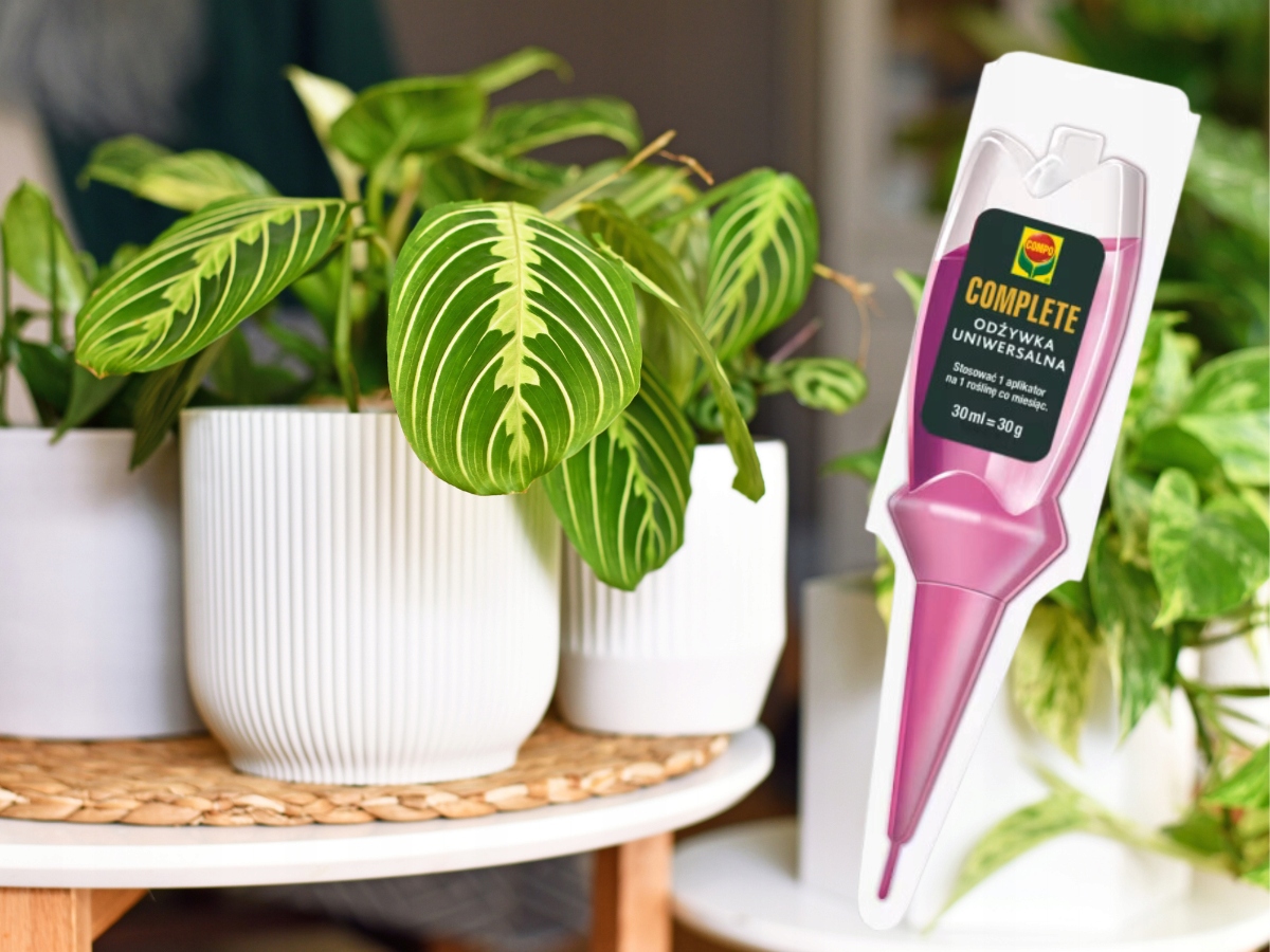 COMPO COMPLETE ODŻYWKA UNIWERSALNA DO WSZYSTKICH ROŚLIN APLIKATOR 30G Zastosowanie do pielęgnacji kwiatów