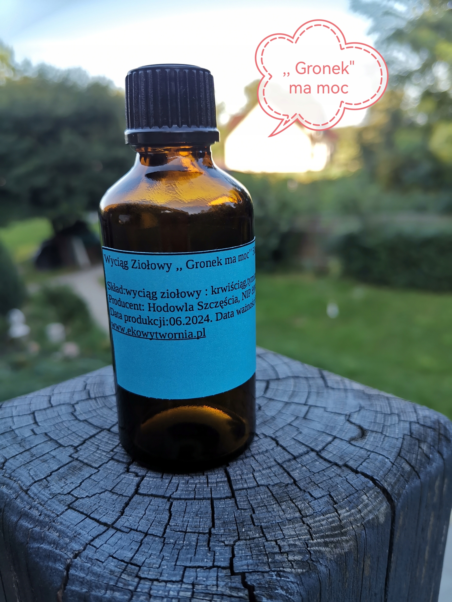 Gronkowiec Złocisty Wyciąg Ziołowy Gronek Ma Moc Opracowany Przez Zielarza