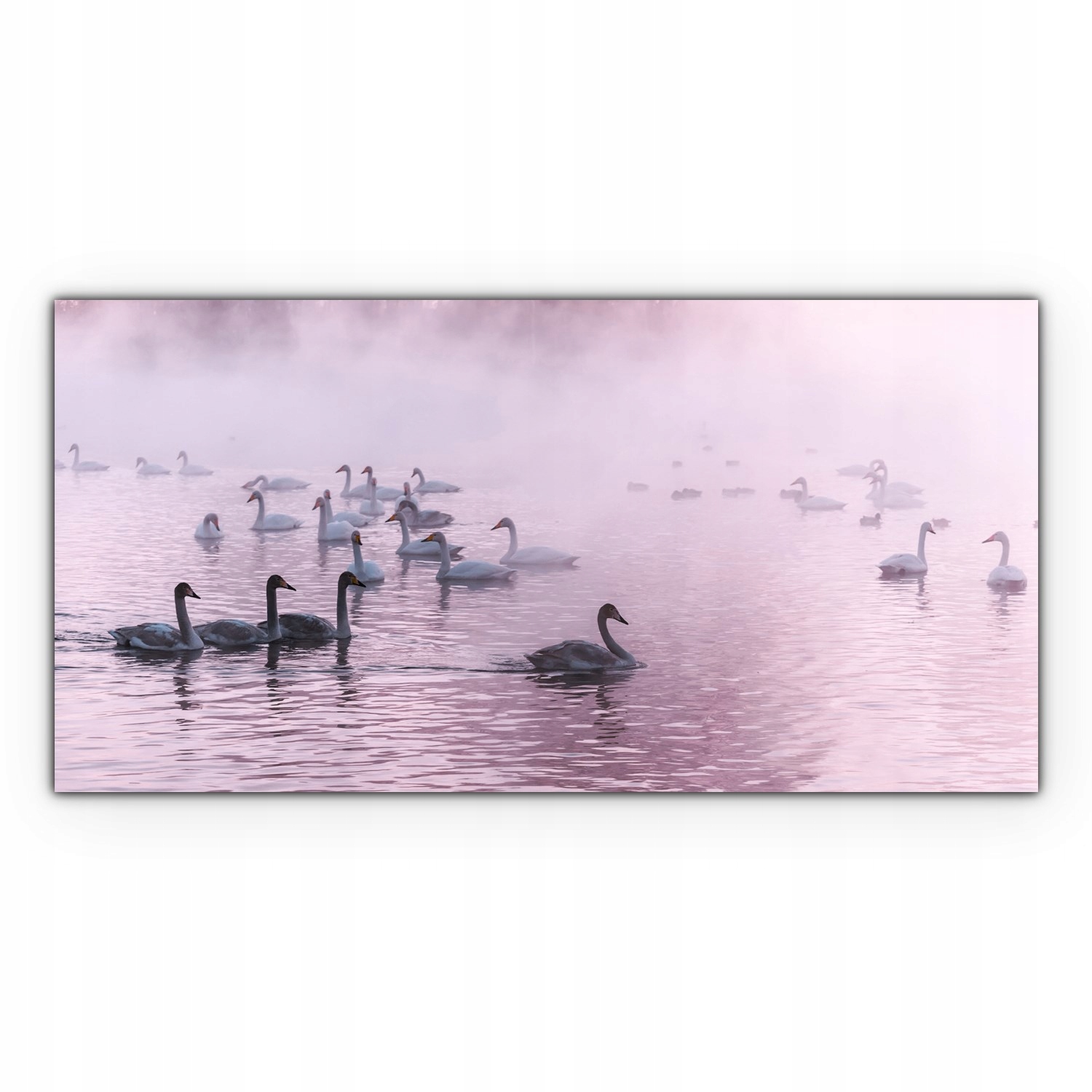 

Canvas na ramie ścienny 140x70 Łabędź Jezioro Zima
