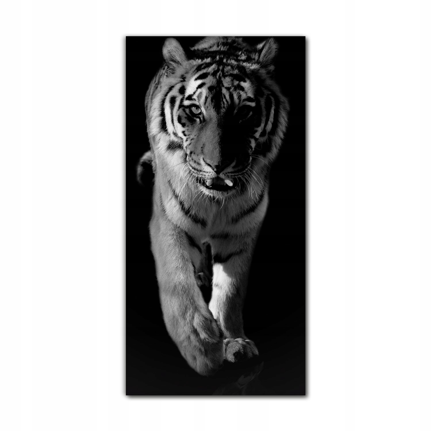 

Obraz szklany ścienny do kuchni 60x120 Tygrys kot