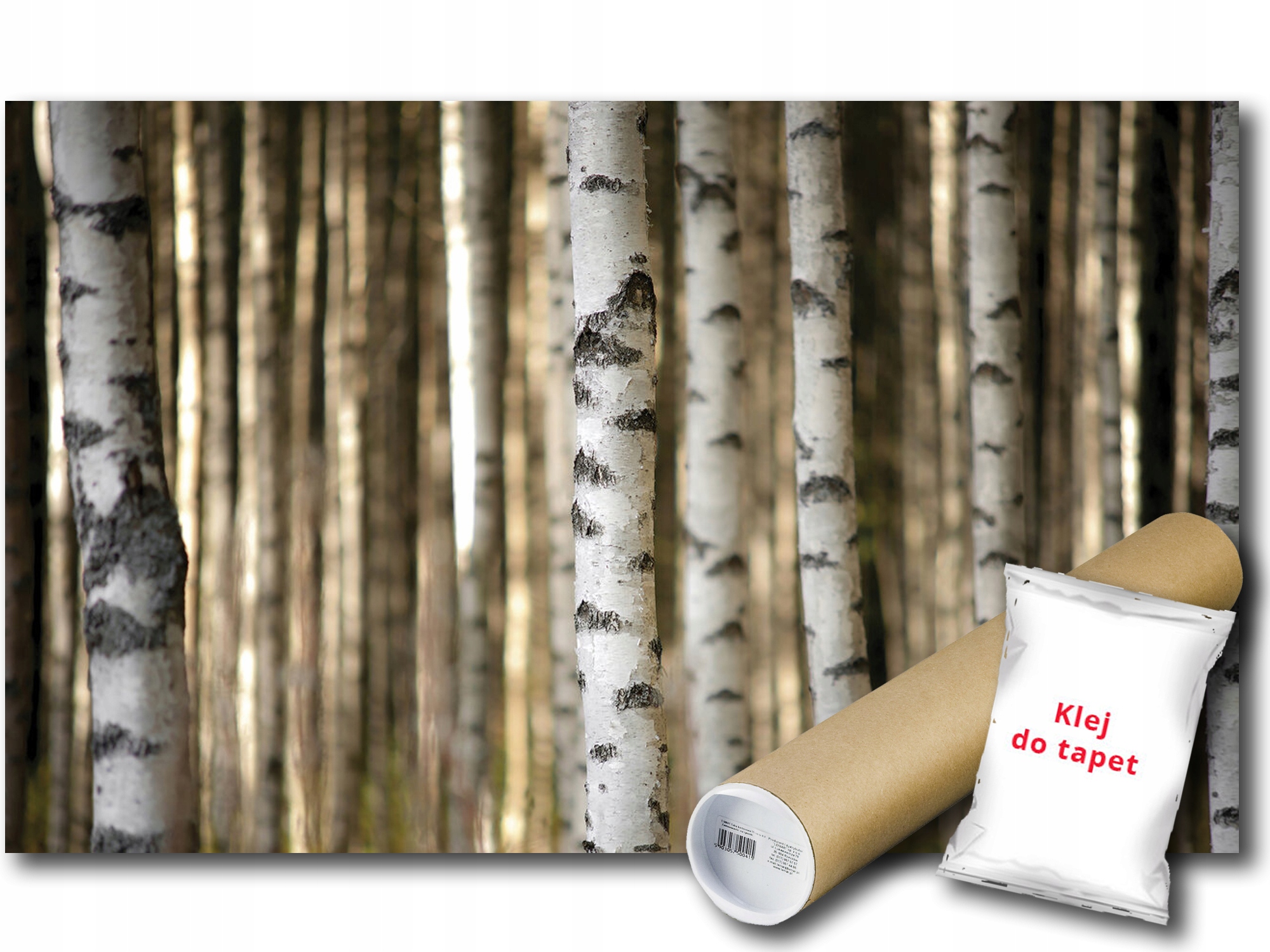 Vinylová Fototapeta Les Stromy Brezy Pnie Natura Príroda 3D 368x254