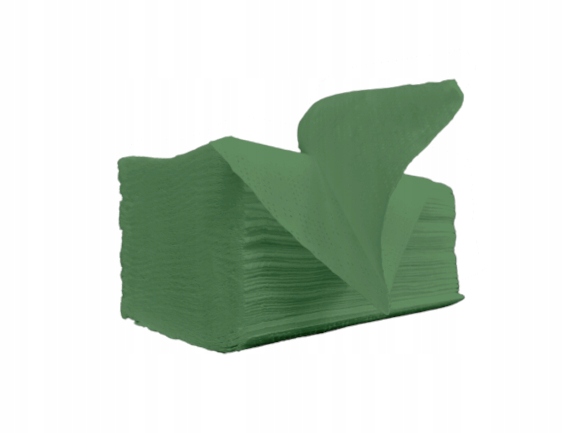 

Ręcznik Zz Papier Makulatura Zielony 4000 List H19