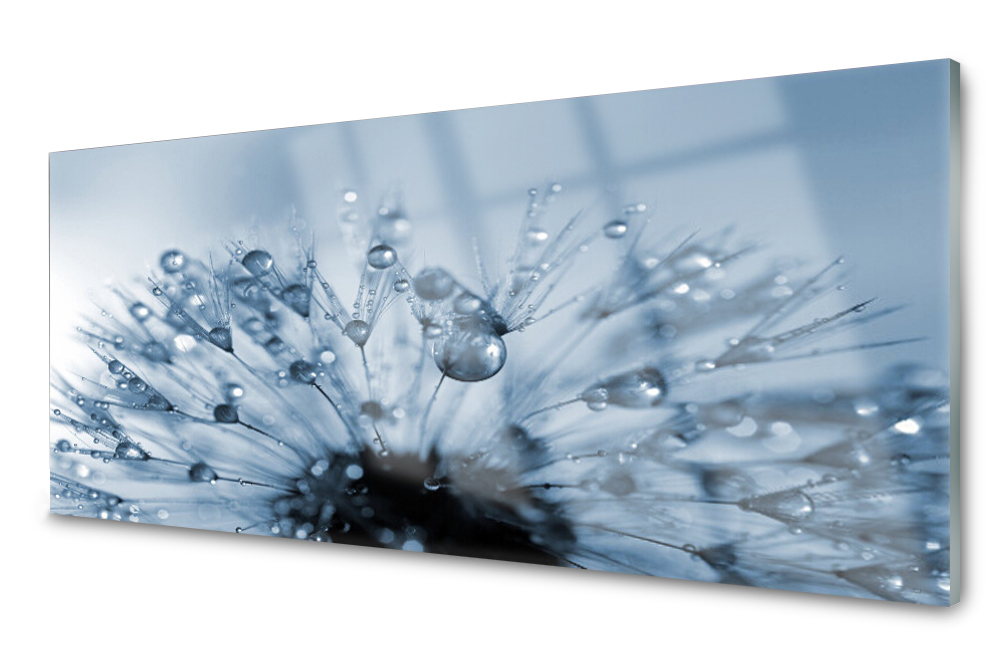 

Panel szklany do kuchni Dmuchawiec Kwiat 125x50