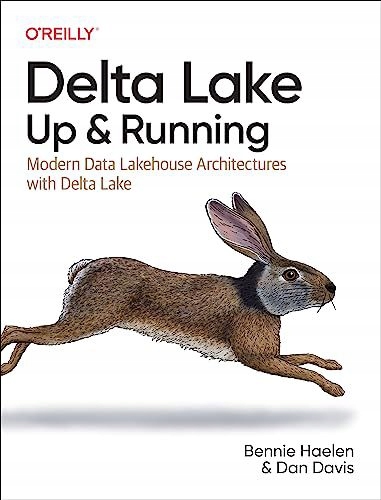 DELTA LAKE UP+RUNNING - Bennie Haelen (KSIĄŻKA)
