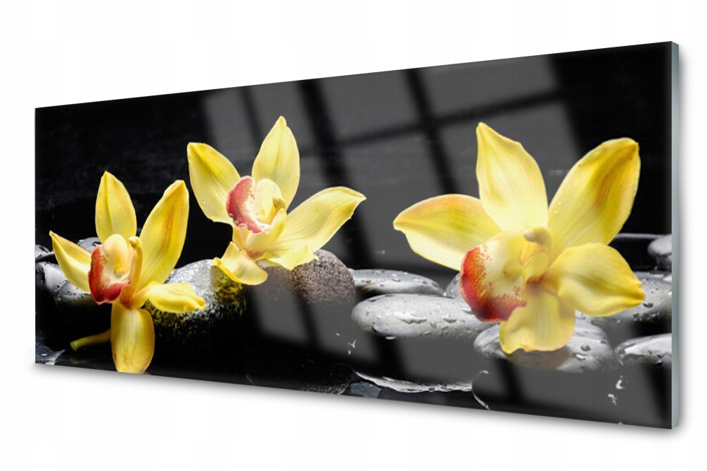 

Panel szklany do kuchni Kwiat Roślina 125x50