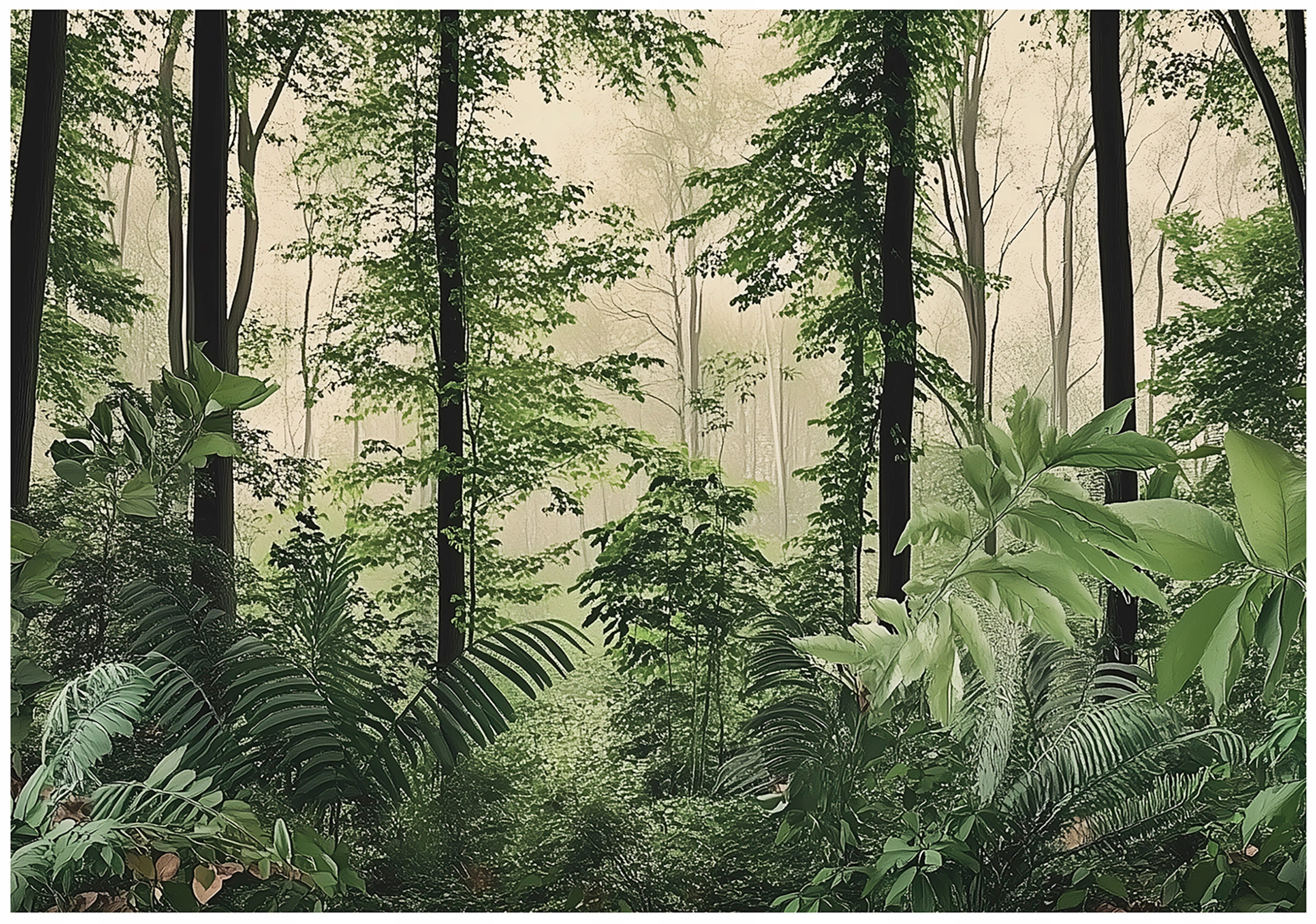 Fototapeta Les Stromy Příroda Ložnice Obývací Pokoj Tapeta Flizelina 300x210