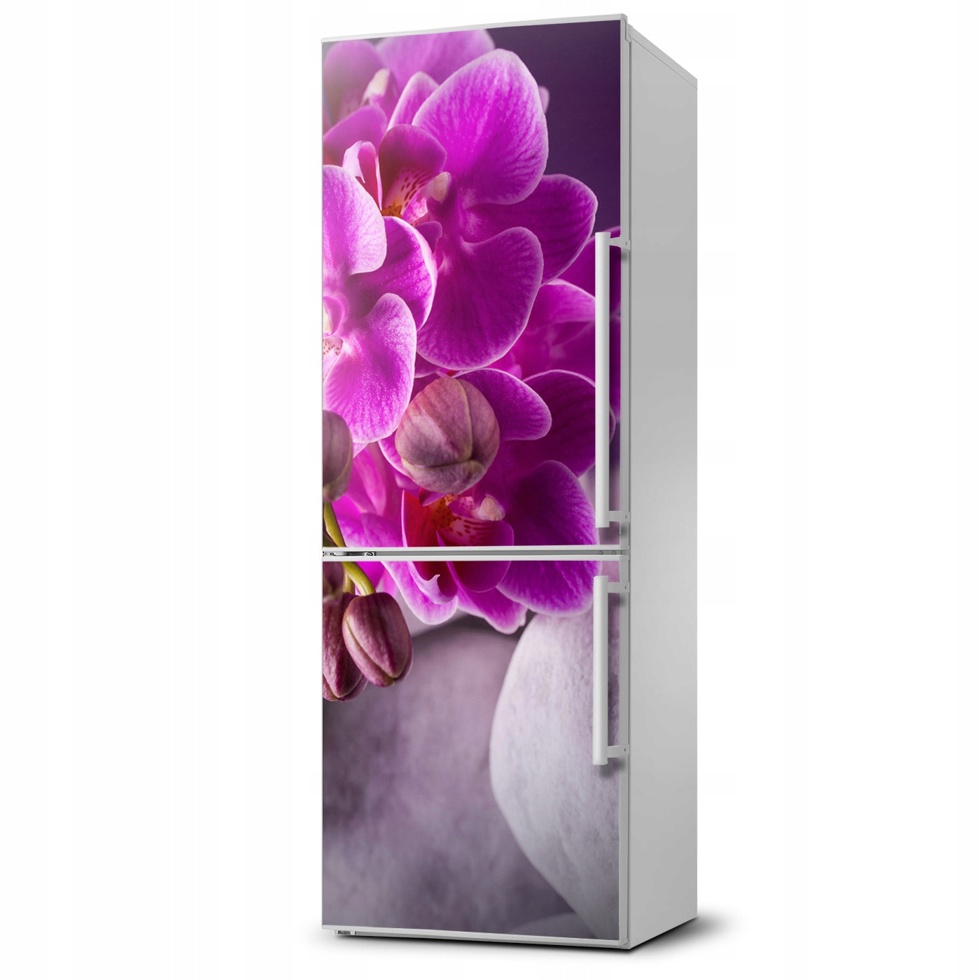 

Naklejka Magnes Magnes Różowa orchidea 60x180