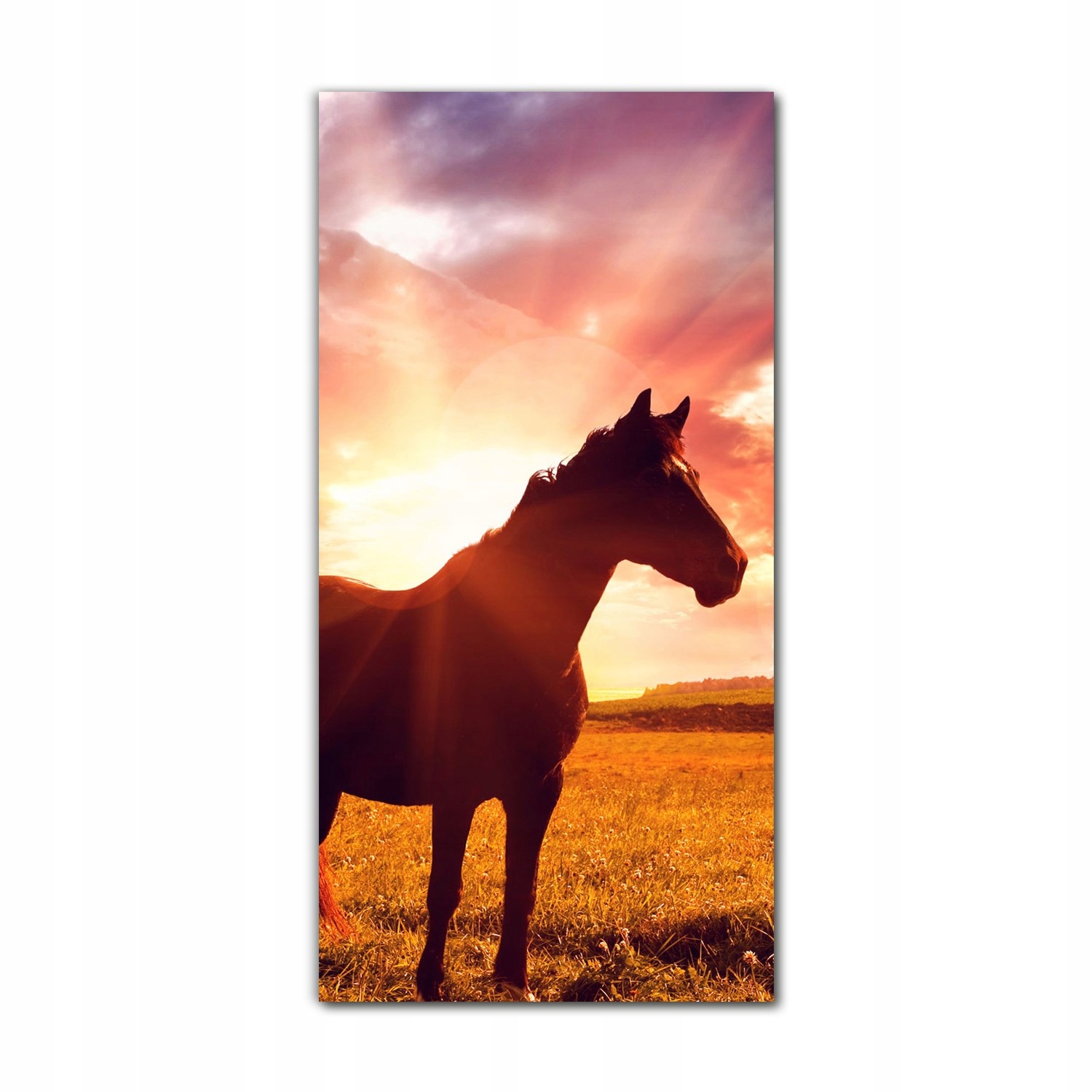 

Foto-obraz na szkle do kuchni 70x140 Krajobraz koń