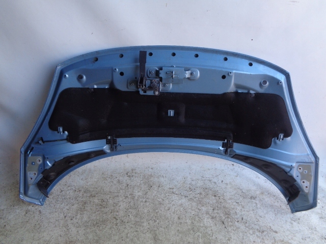 RENAULT SCENIC III 09-12 TERPA bonnet