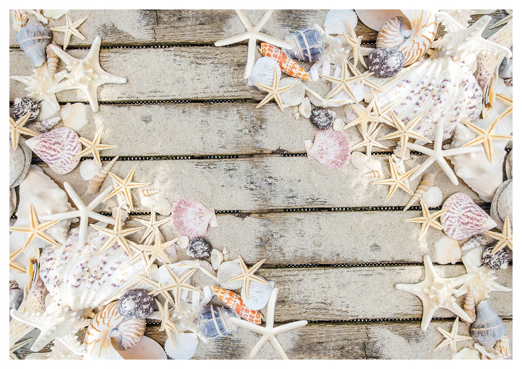 Fototapeta Mušle morské hviezdy pláž Letný morský pokoj 368x280 lepidlo