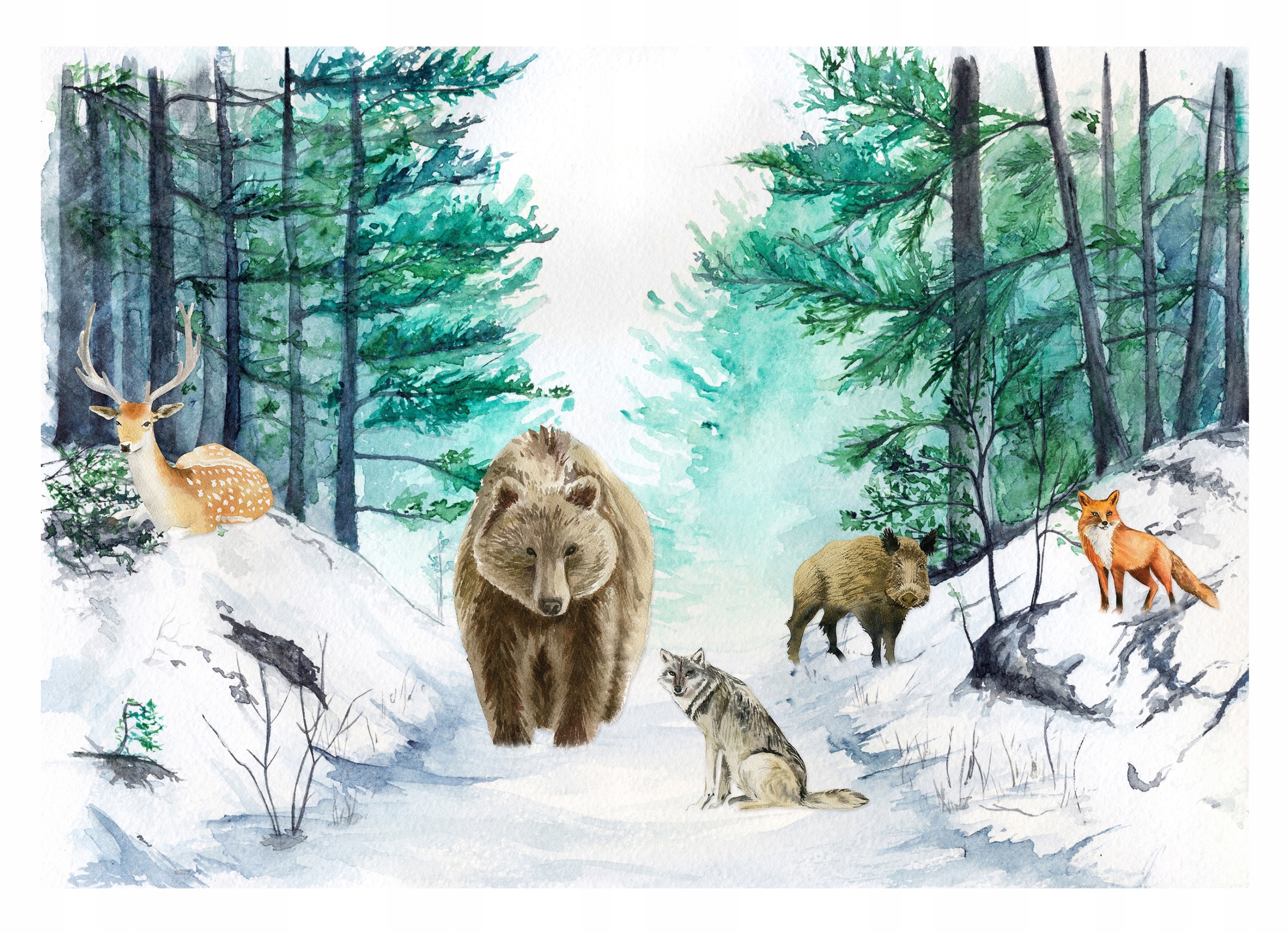 Fototapeta Pro Děti Lesní zvířata Les 312x219