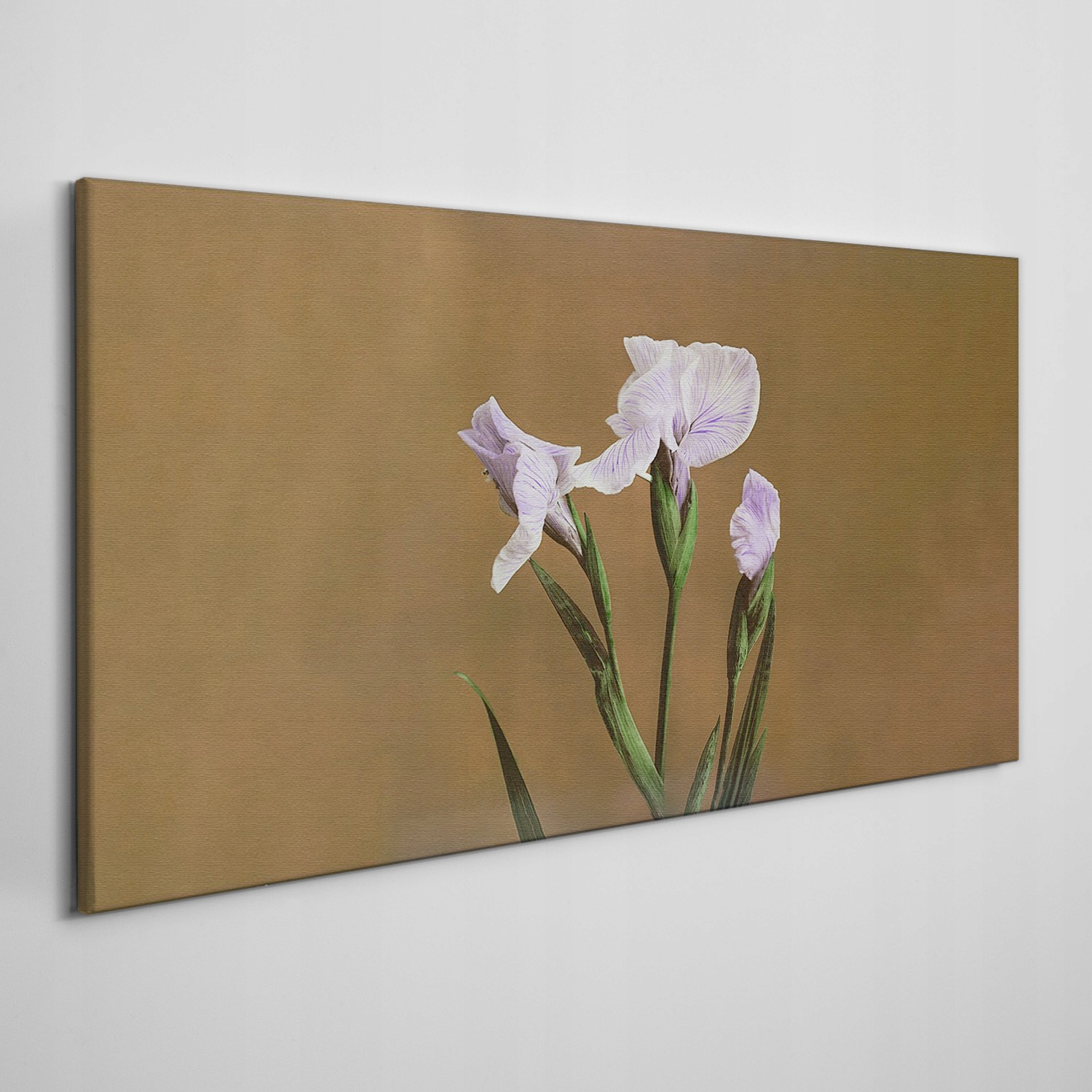 

Obraz ścienny na płótnie Kwiaty rośliny 100x50 cm