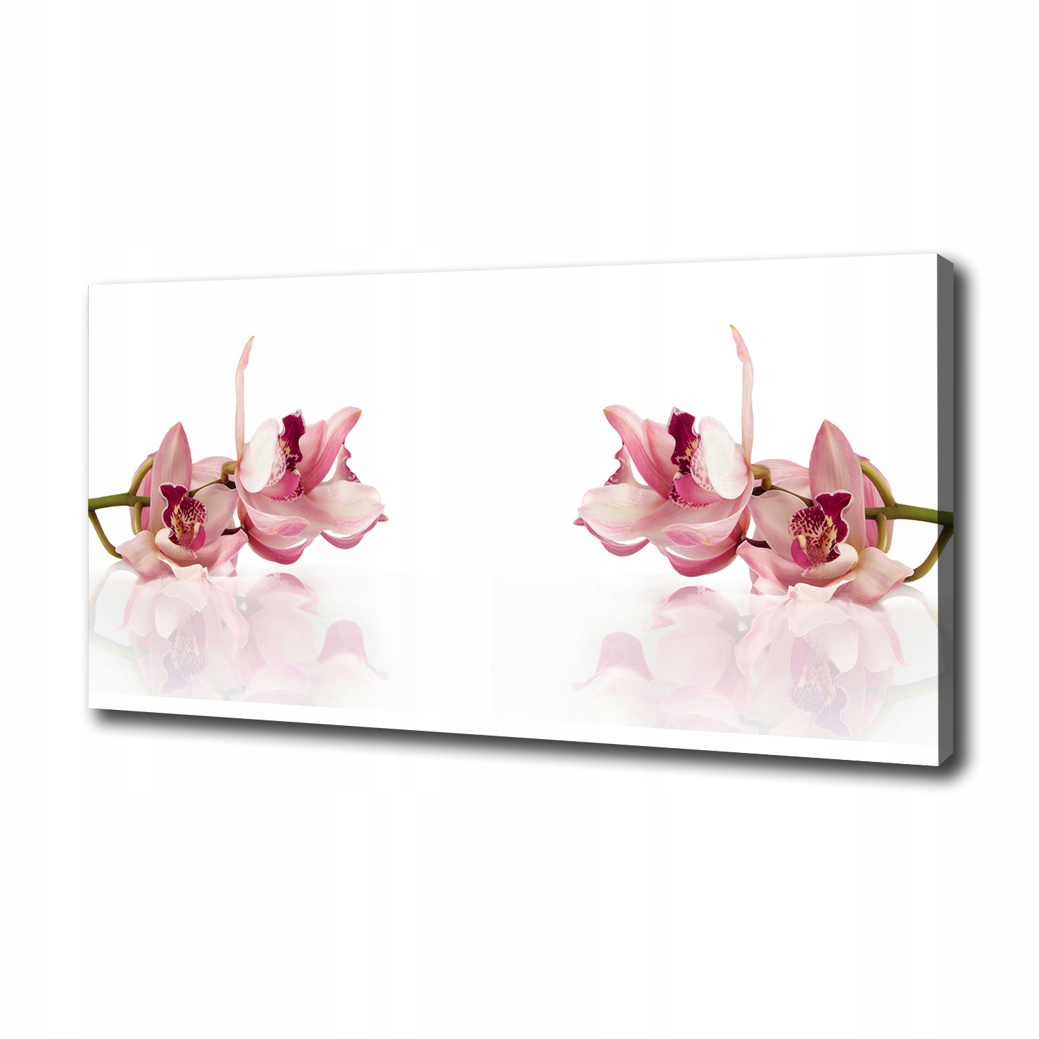 

Foto obraz canvas na ścianę Orchidea 100x50 cm