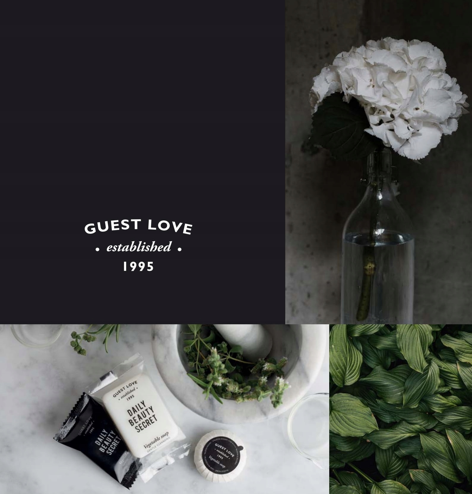 Mydło w Płynie do Rąk Oczyszczające Ginko Biloba SPA Hotel 480ml GUEST LOVE Rodzaj płyn