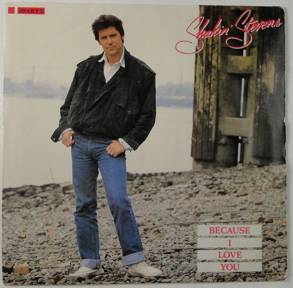 Steve because. Because i love you шейкин стивенс. Стив джобс 1995. Shakin' stevens. Shakin' stevens take one (1979).