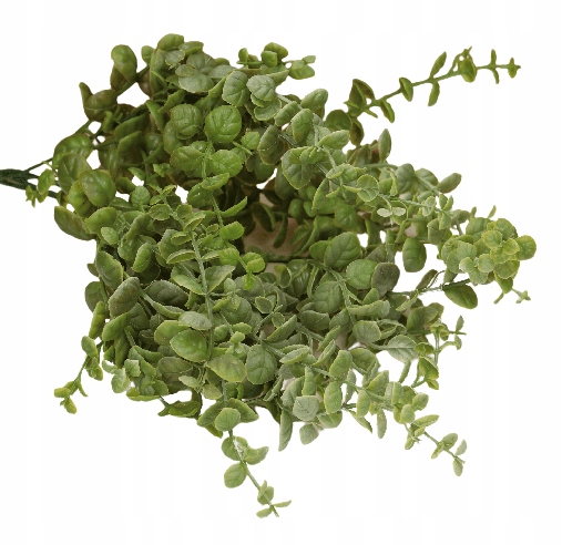 

Gałązka bukszpanowa zielona pęczek 38cm