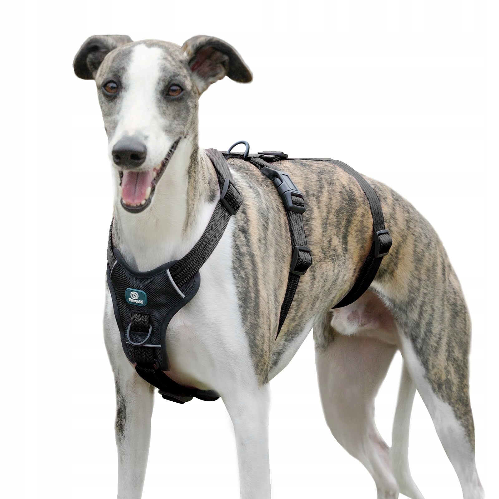 Levně Postroj pro psa