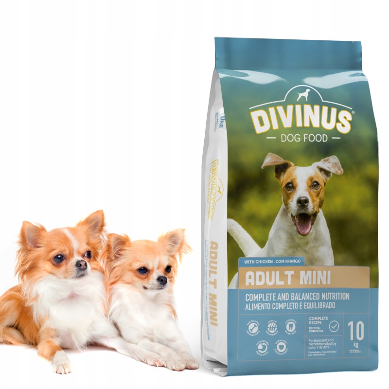 Divinus Adult mini dla ras małych 10kg