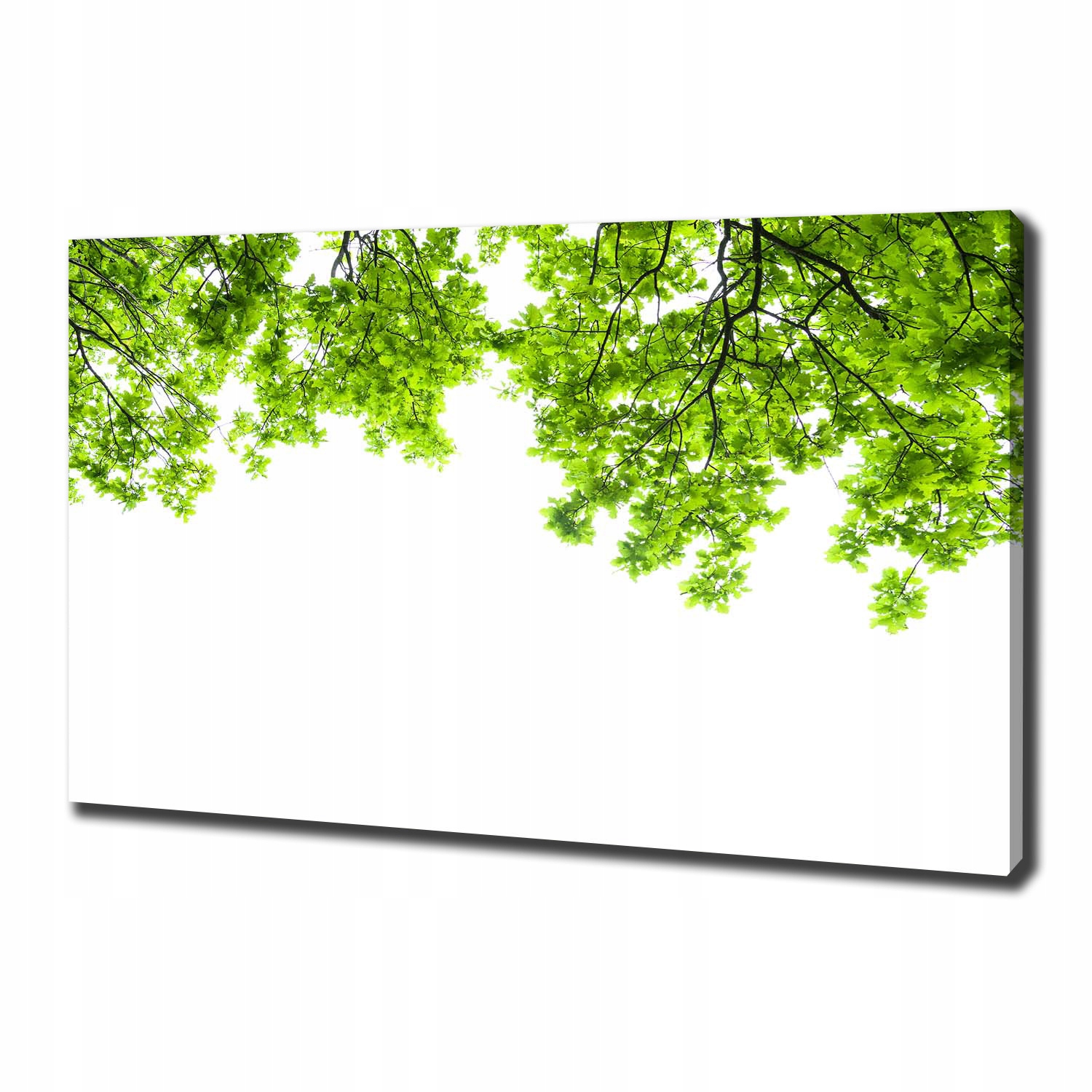 

Foto obraz canvas na ścianę Liście dębu 100x70 cm