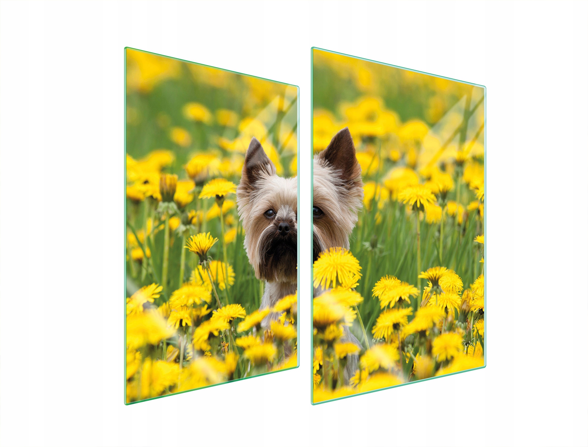 Skleněná Ochranná Deska Do Kuchyně 2x35x52 Pes Tvrzené Sklo