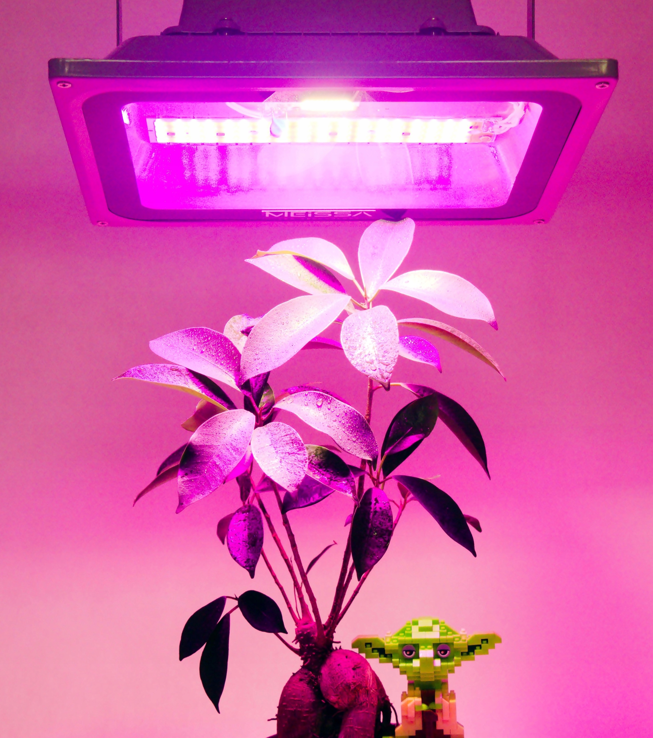 GROW COB MEiSSA LED panel rast rastlín 432D 500W Maximálny výkon 432W