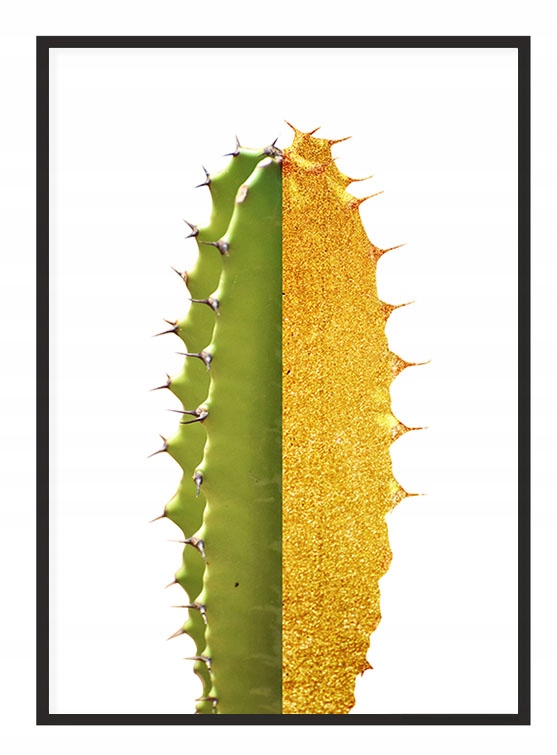 

Obraz Plakat Rama 53x73 cm Kaktus P1956