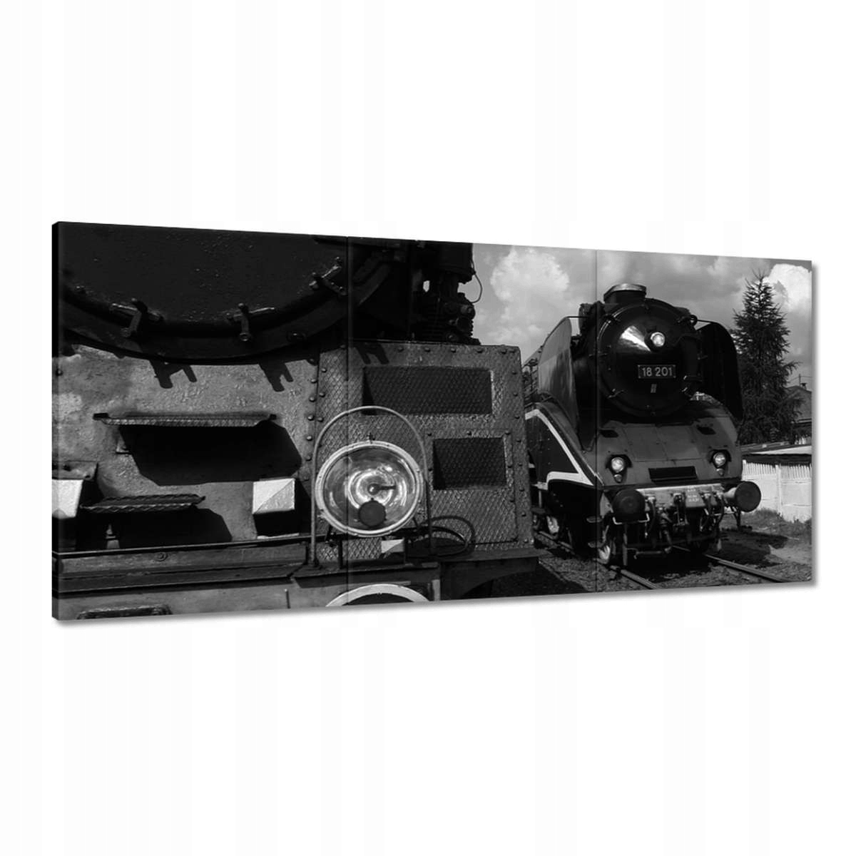 Obrazy 180x90 Vlaky Ol49-69 a 18-201