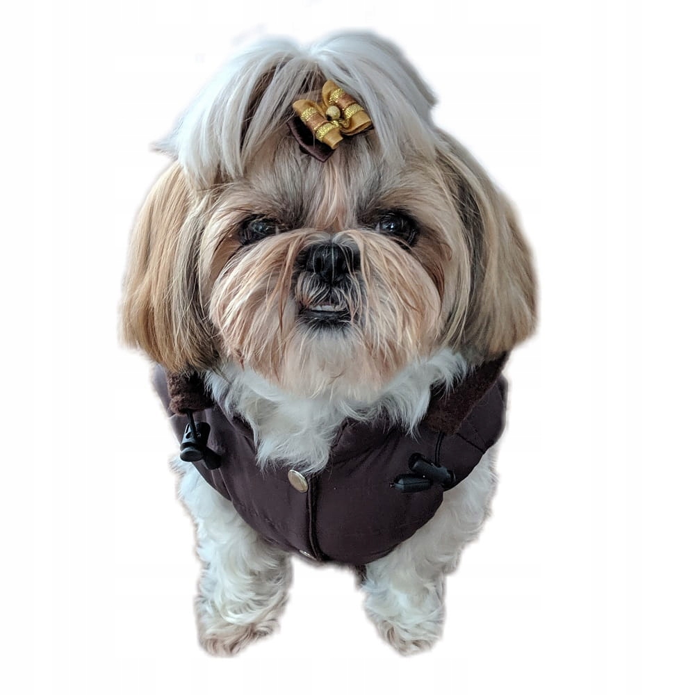 

Ręcznie szyta kurtka sport brąz XL Shih Tzu