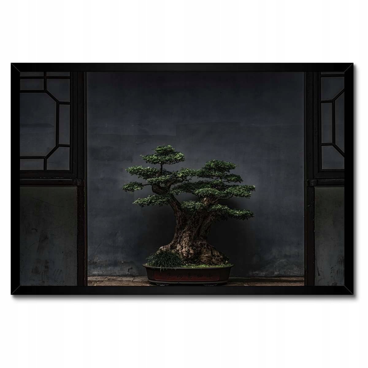 Plakáty v rámu 60x40 Bonsai Stromek Kultura