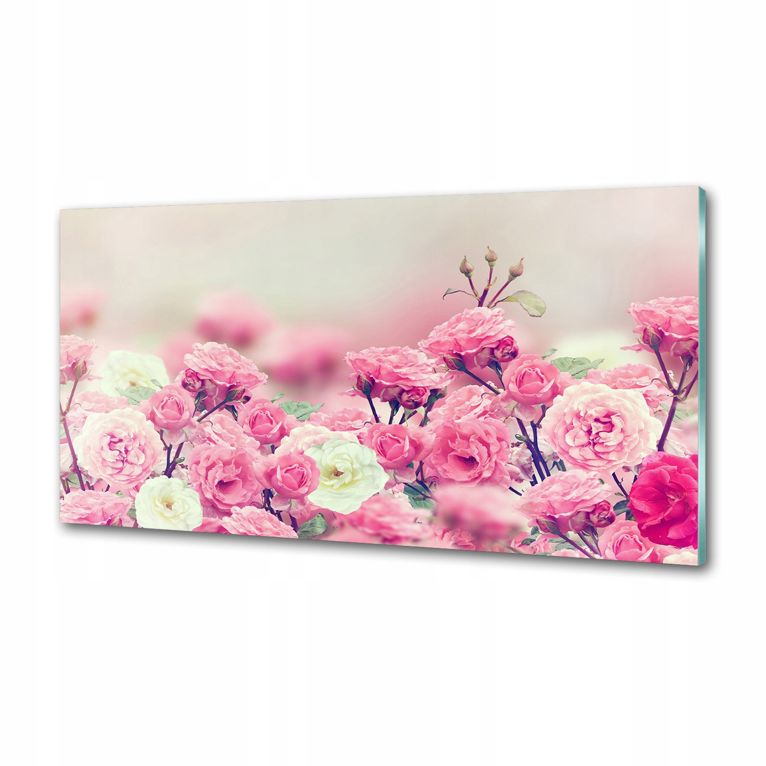 Panel lacobel Kvety divokej ruže 100 x 50 cm Lepidlo