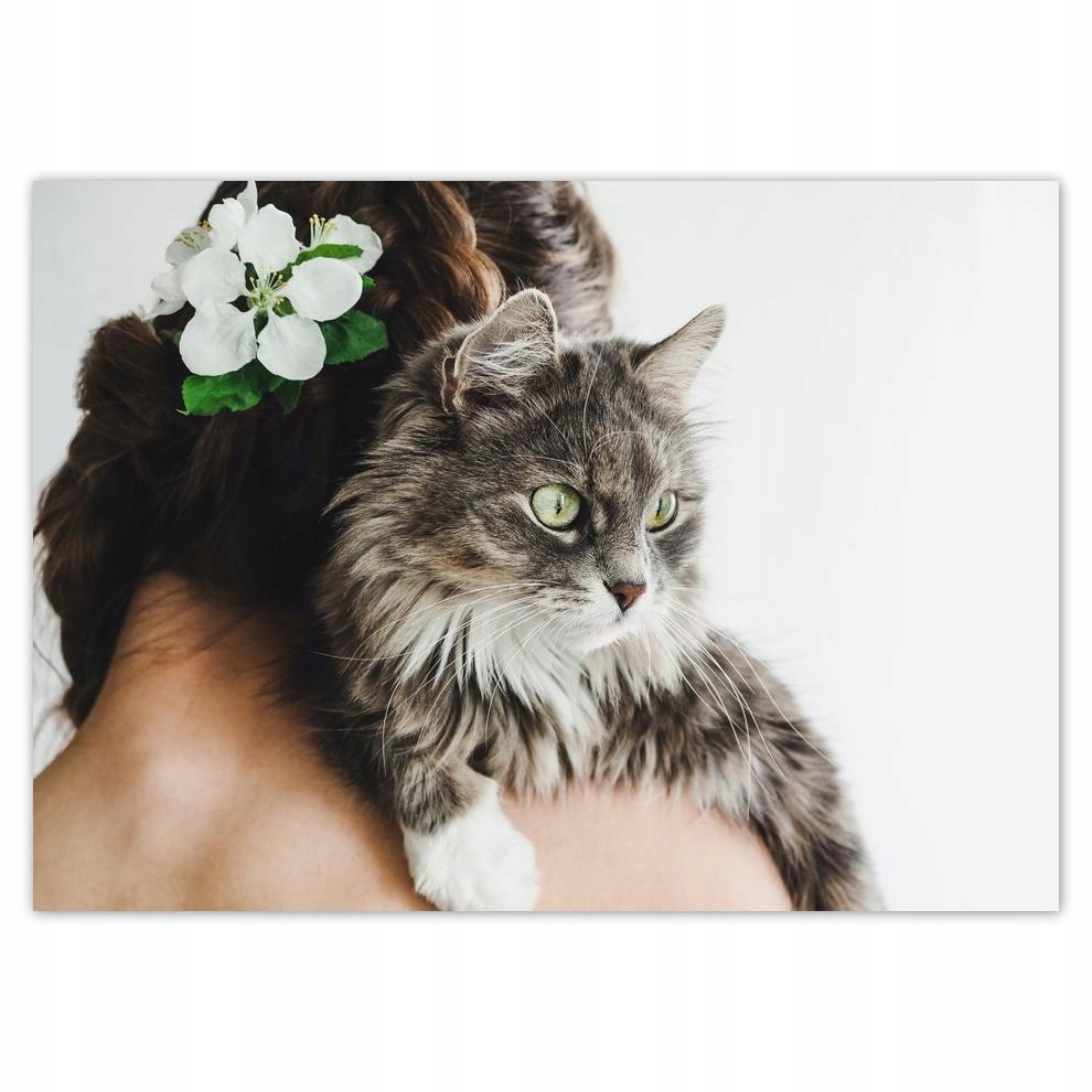 

Naklejki 70x50 Kot Kotek Koty Kicia