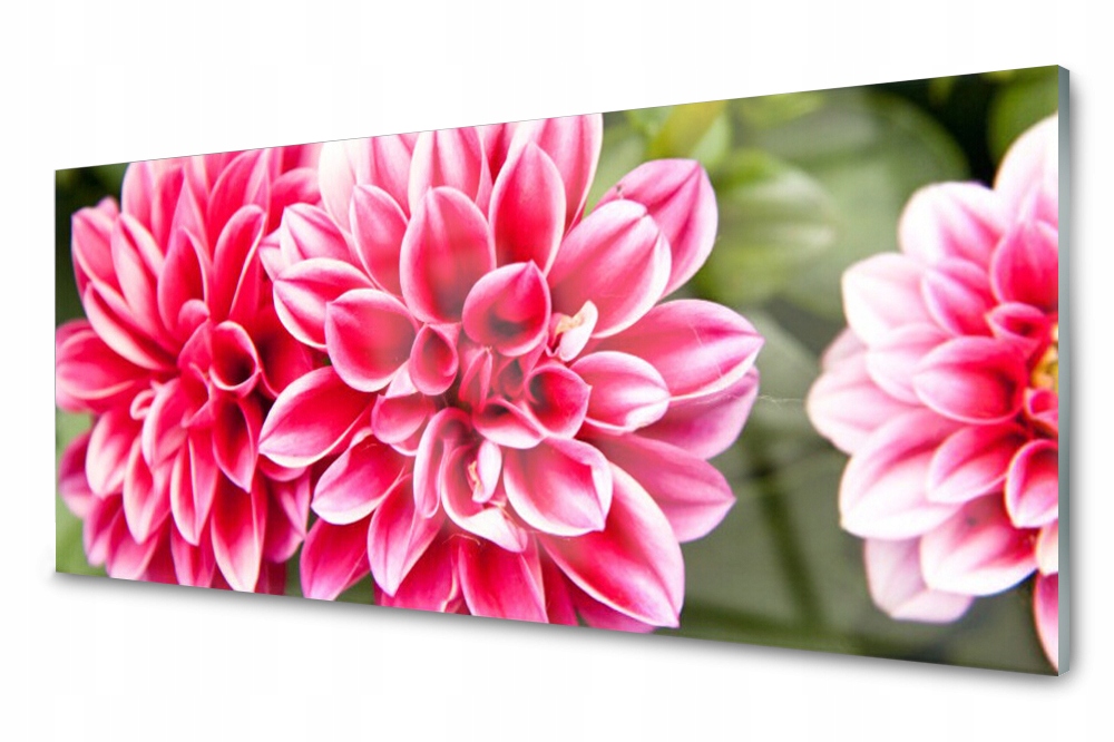 

Panel szklany do kuchni Kwiaty Roślina 125x50