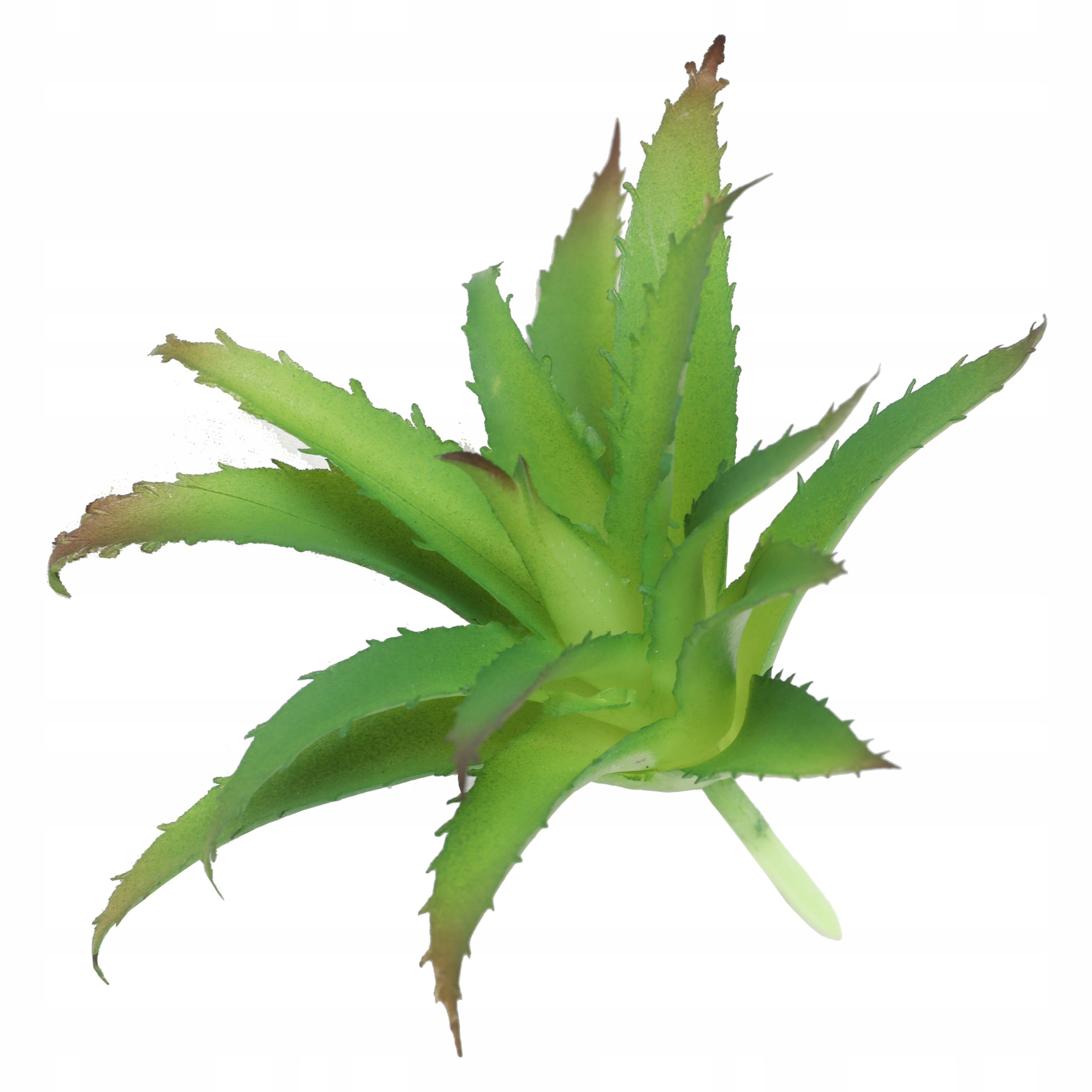 Levně Tlakový postřikovač GardenStar 5