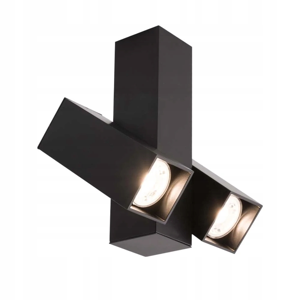 Dvojitá čierna stropná lampa s nastaviteľnými obdĺžnikovými reflektormi Shilo