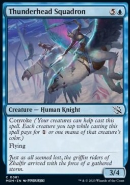 Thunderhead Squadron Mom Gratisy Pjotrekkk