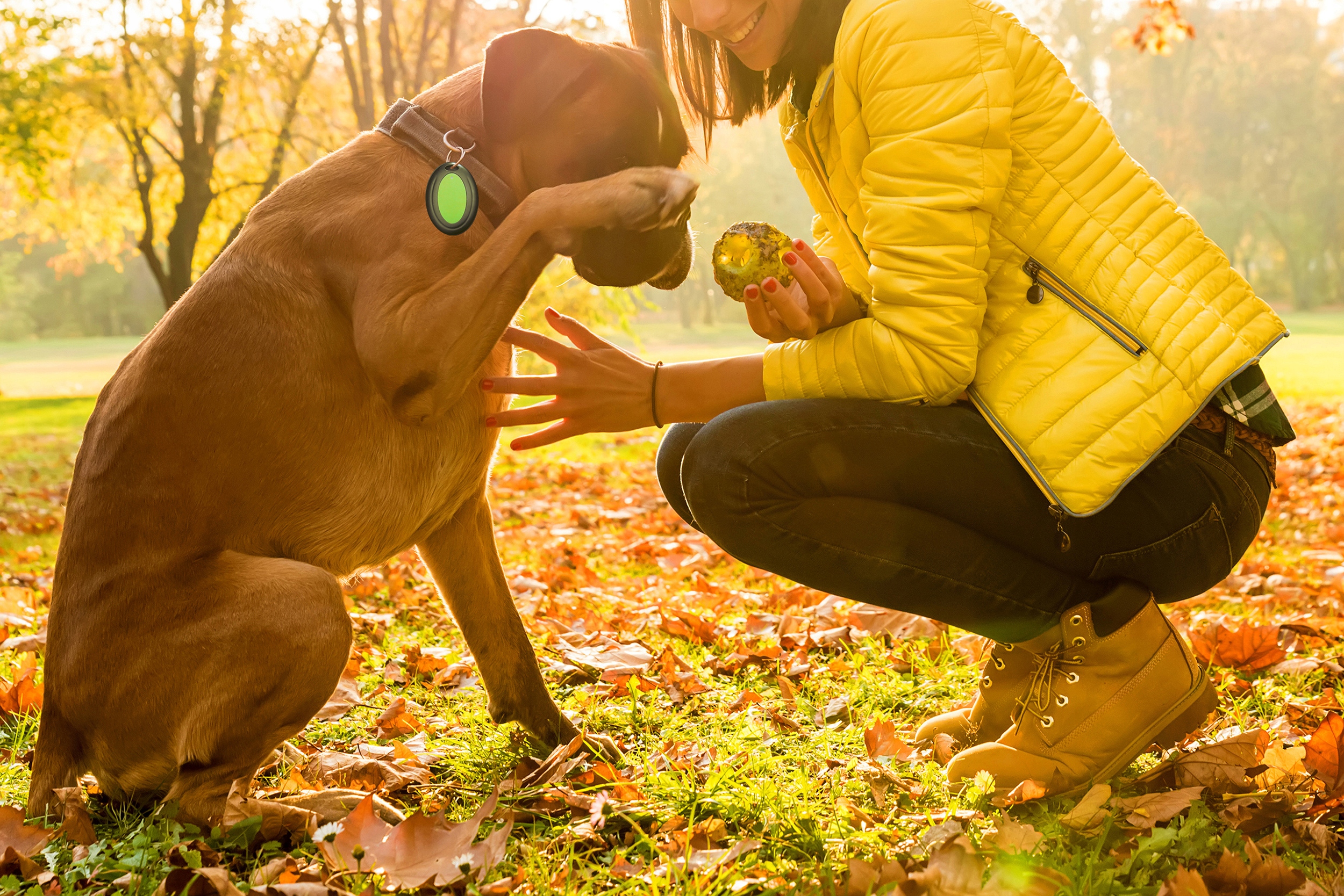 D0d96d9742f284a07b80157526fc