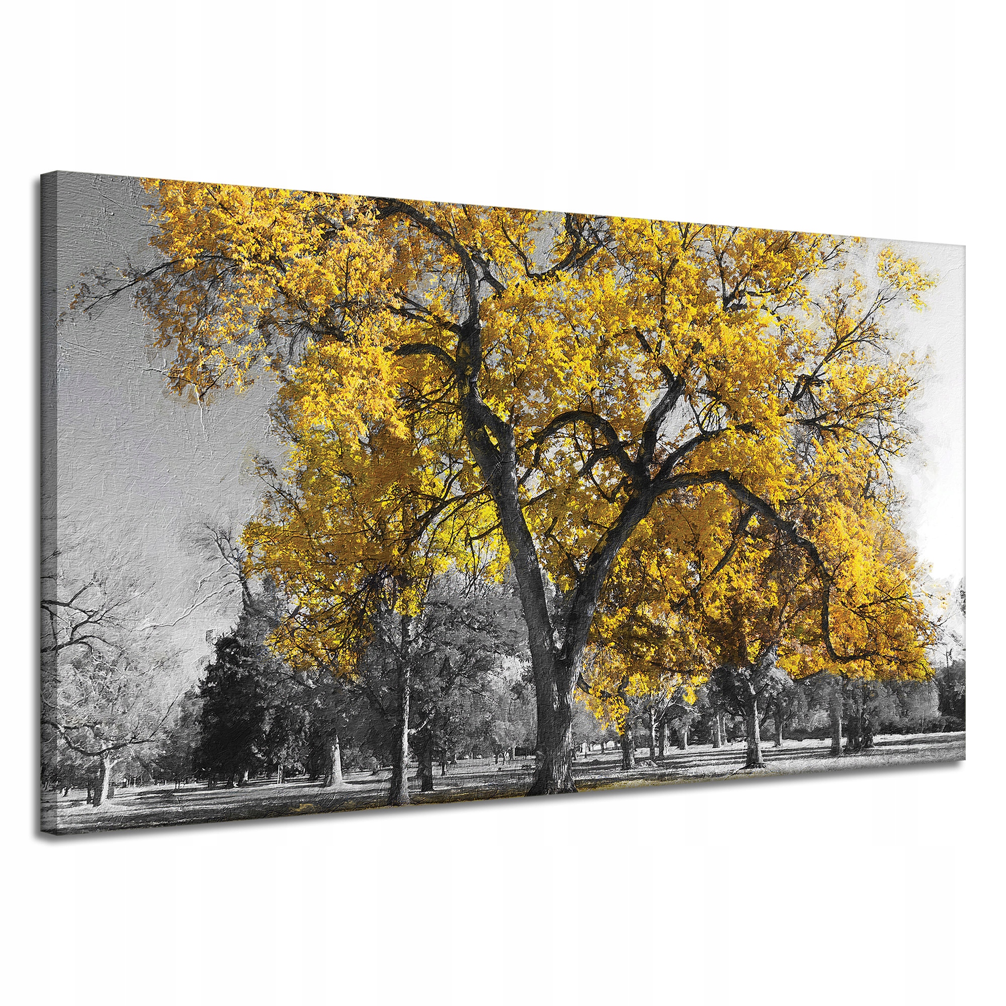 Obraz na plátně Černé Stromy Žluté Listy 120x70 cm Ideální jako dárek
