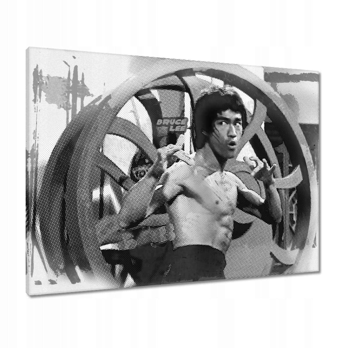 Obrazy 80x60 Bruce Lee Karateka