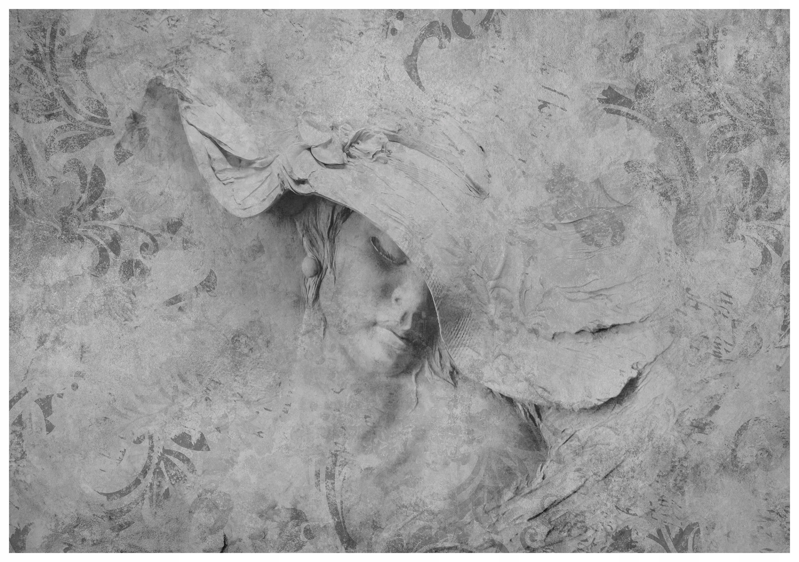 Fototapeta Vintage portrét v klobouku Rostliny Monochromie 368x254 lepidlo