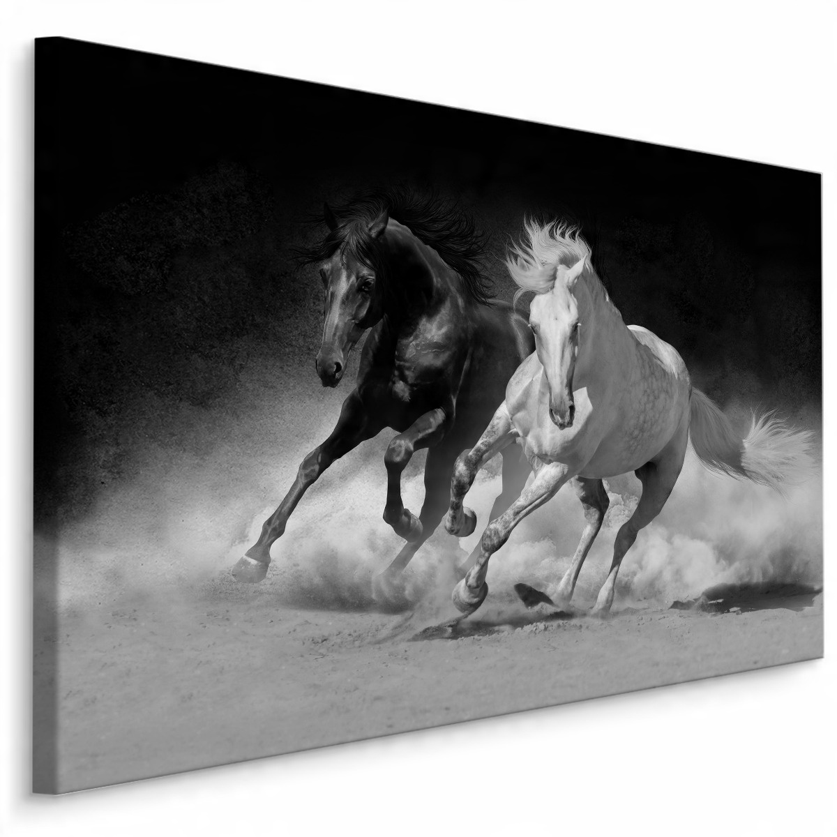 

Obraz do salonu czarno biały konie galop 70x50