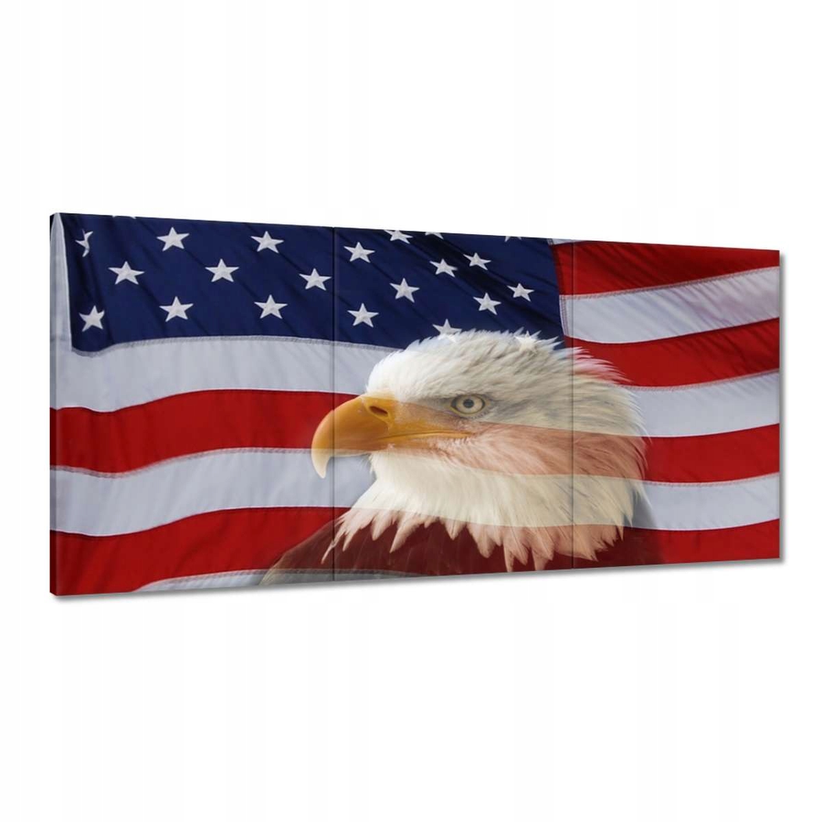 Obrazy 180x90 Freedom z Usa